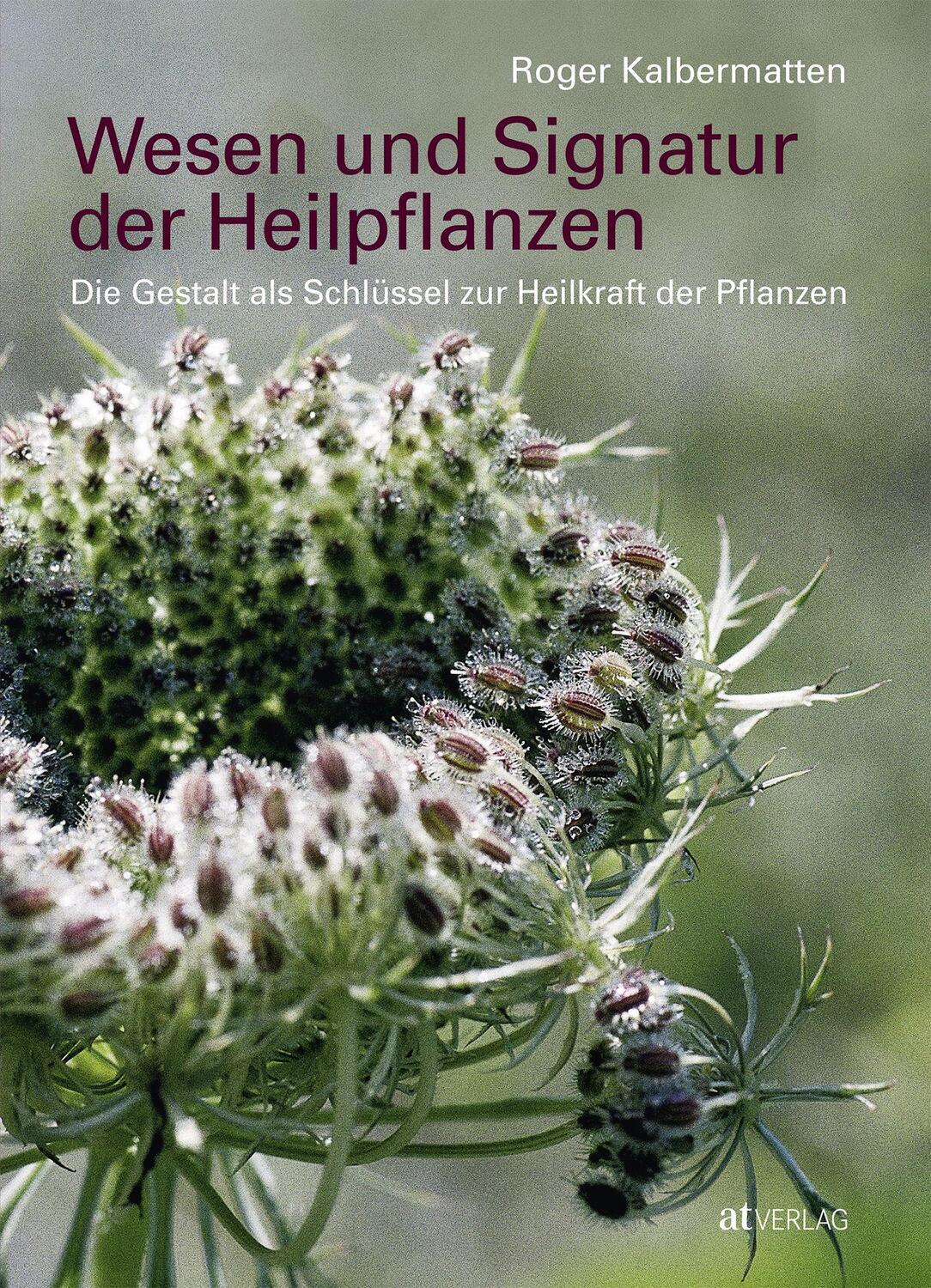 Cover: 9783039020461 | Wesen und Signatur der Heilpflanzen | Roger Kalbermatten | Buch | 2019