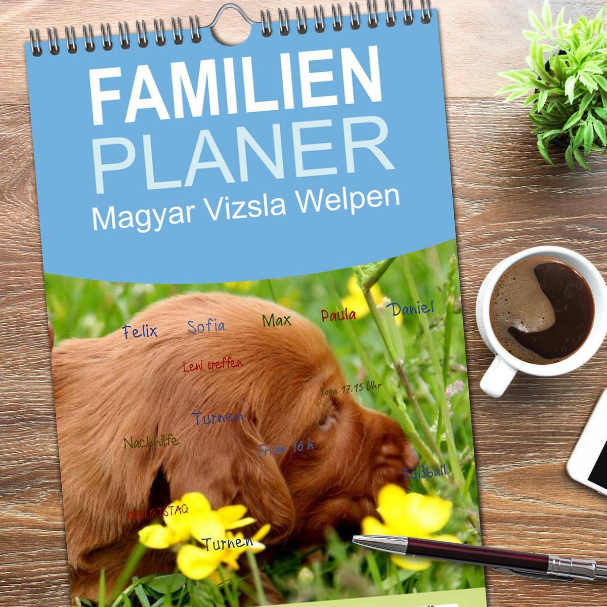 Bild: 9783457119839 | Familienplaner 2025 - Magyar Vizsla Welpen mit 5 Spalten...