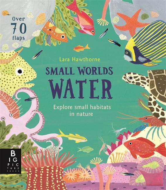 Cover: 9781787415621 | Small Worlds: Water | Lily Murray | Buch | Papp-Bilderbuch | Englisch