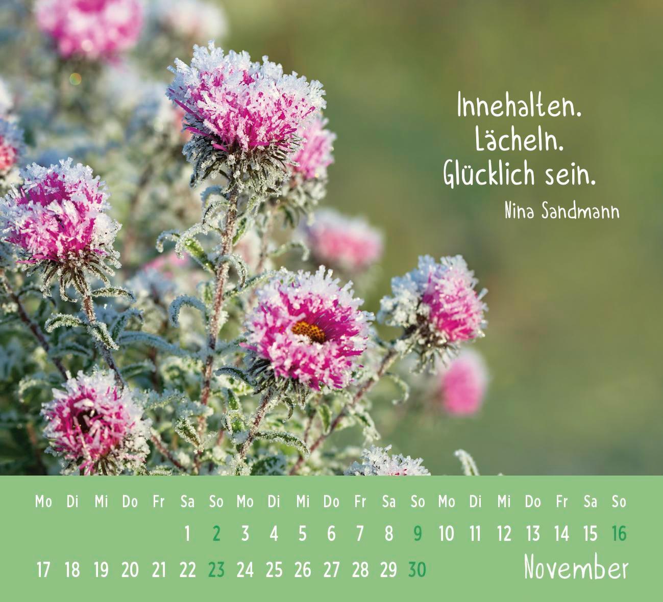 Bild: 4036442012178 | Mini-Kalender 2025: Der kleine Glückskalender | Groh Verlag | Kalender