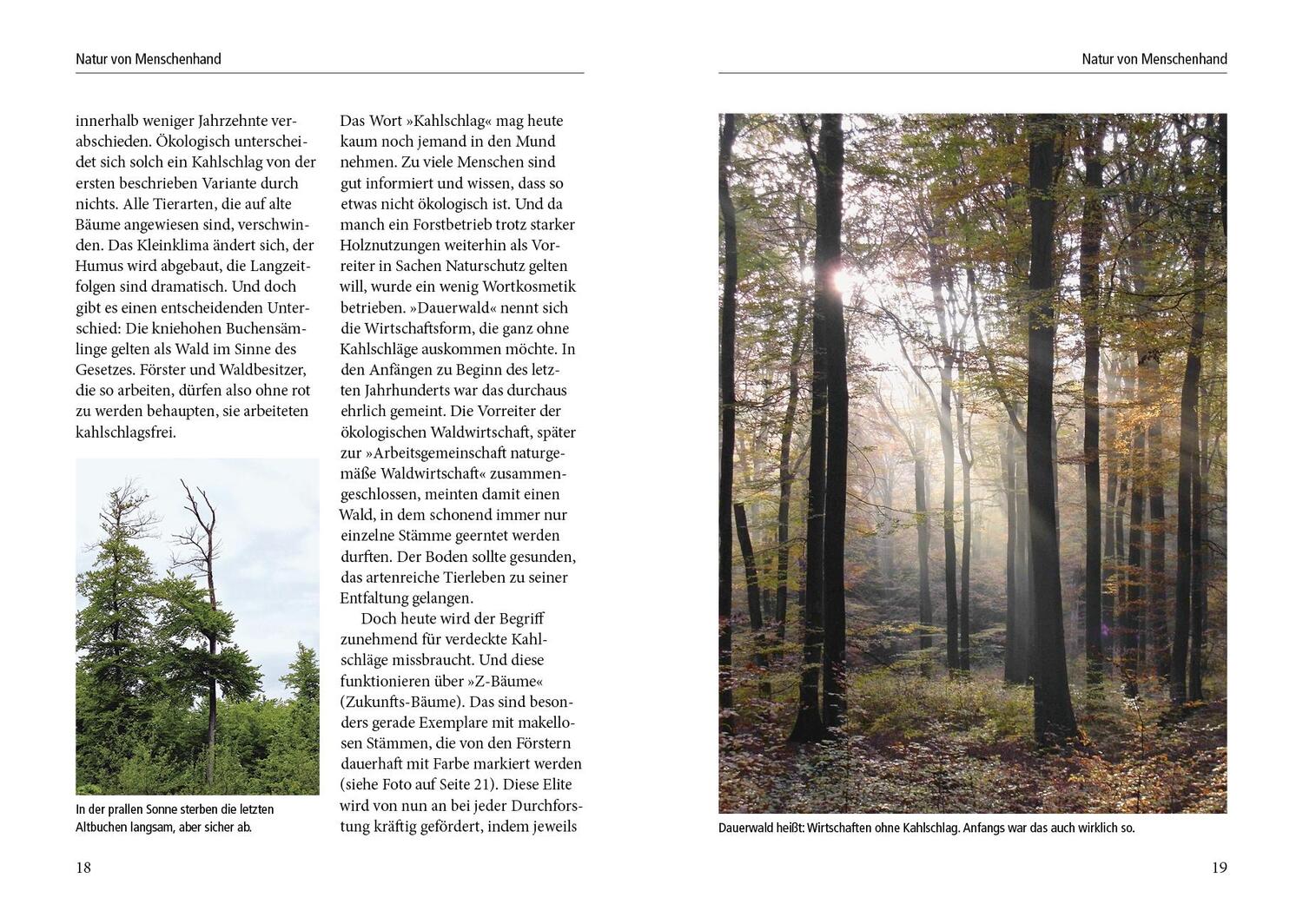 Bild: 9783895663529 | Menschenspuren im Wald | Peter Wohlleben | Buch | 160 S. | Deutsch
