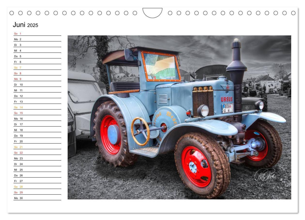 Bild: 9783435736614 | Trecker - Oldtimer / Geburtstagskalender (Wandkalender 2025 DIN A4...