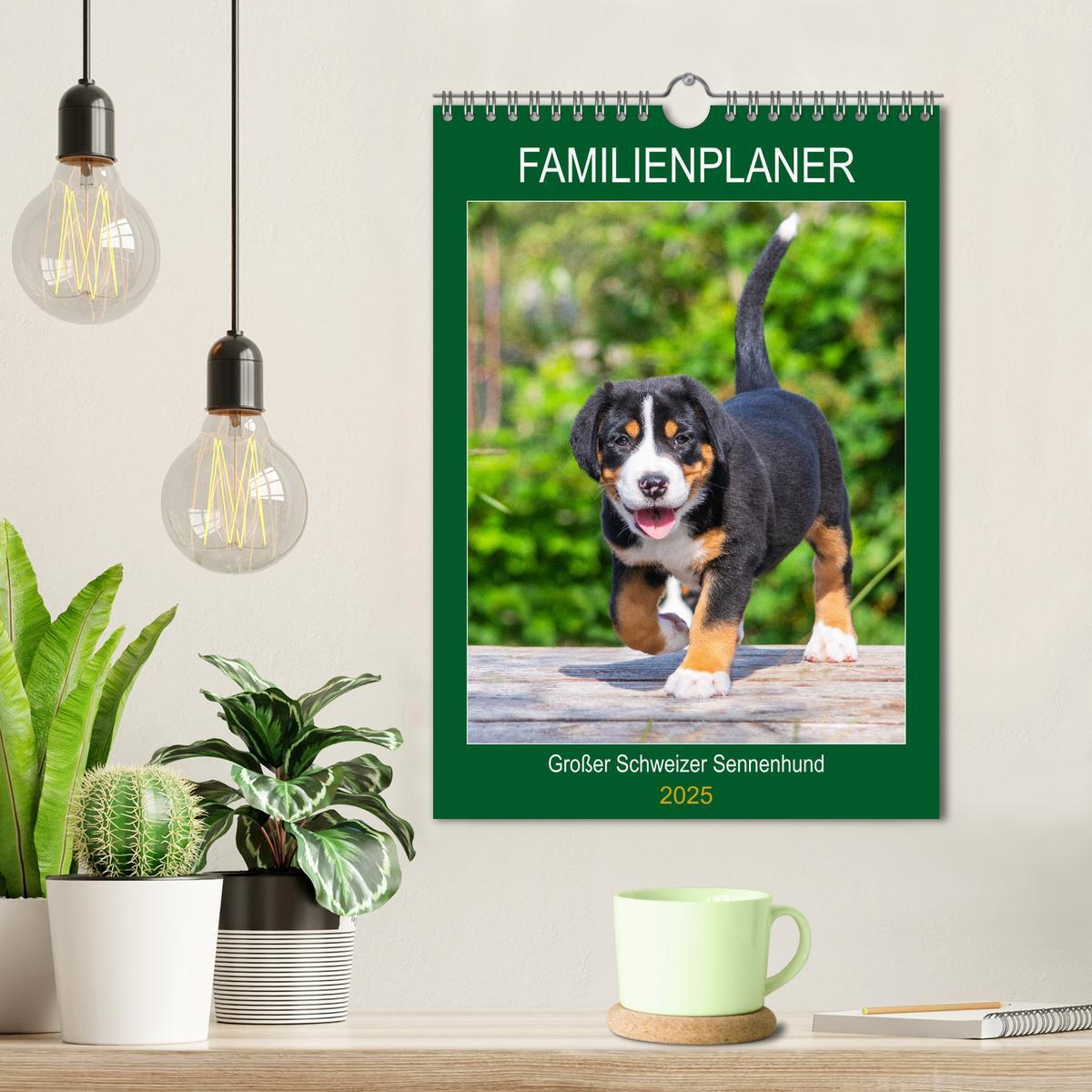 Bild: 9783435960323 | Familienplaner Großer Schweizer Sennenhund (Wandkalender 2025 DIN...