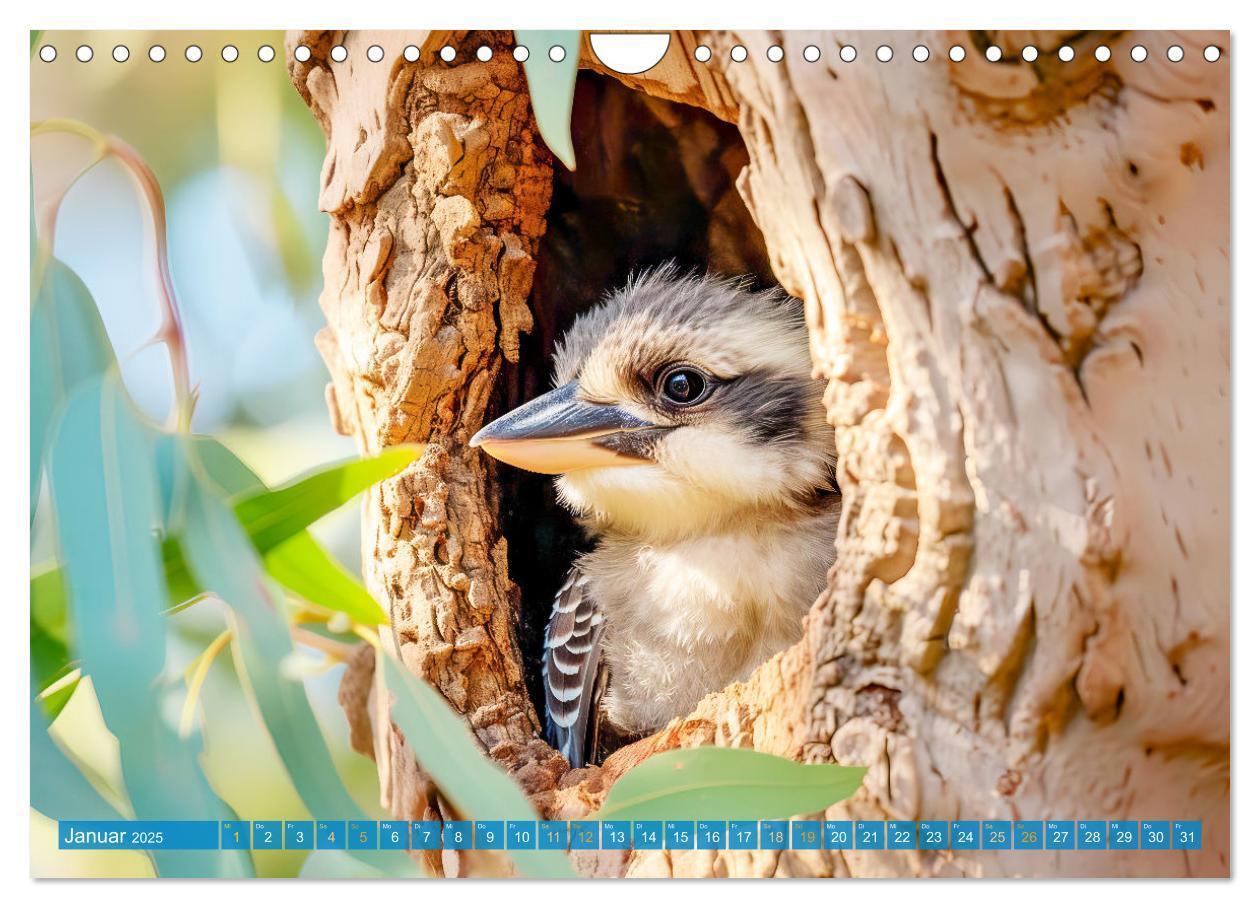 Bild: 9783383777875 | Der Kookaburra - Im australischen Busch mit dem lachenden Hans...