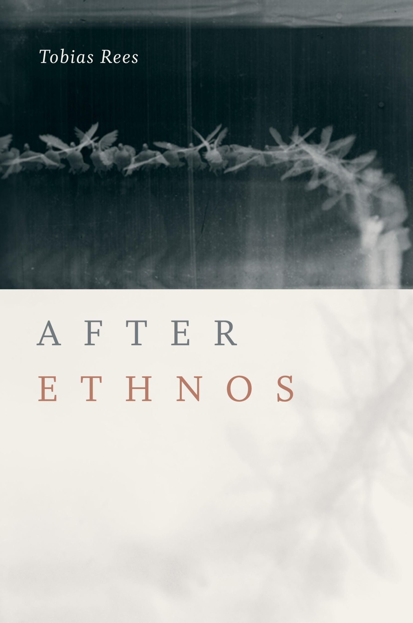 Cover: 9781478000808 | After Ethnos | Tobias Rees | Taschenbuch | Kartoniert / Broschiert