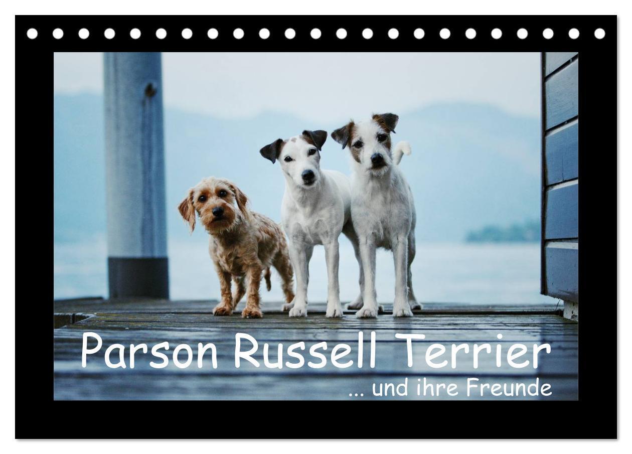 Cover: 9783675704947 | Parson Russell Terrier (Tischkalender 2024 DIN A5 quer), CALVENDO...