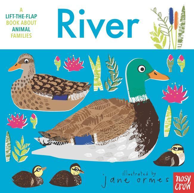 Cover: 9781536224016 | Animal Families: River | Nosy Crow | Buch | Animal Families | Englisch