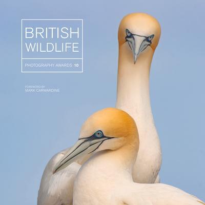 Cover: 9781781453759 | British Wildlife Photography Awards 10 | Maggie Gowan | Buch | 2019