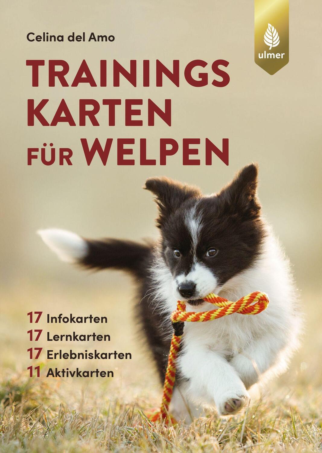 Cover: 9783818613136 | Trainingskarten für Welpen | Celina del Amo | Taschenbuch | Deutsch