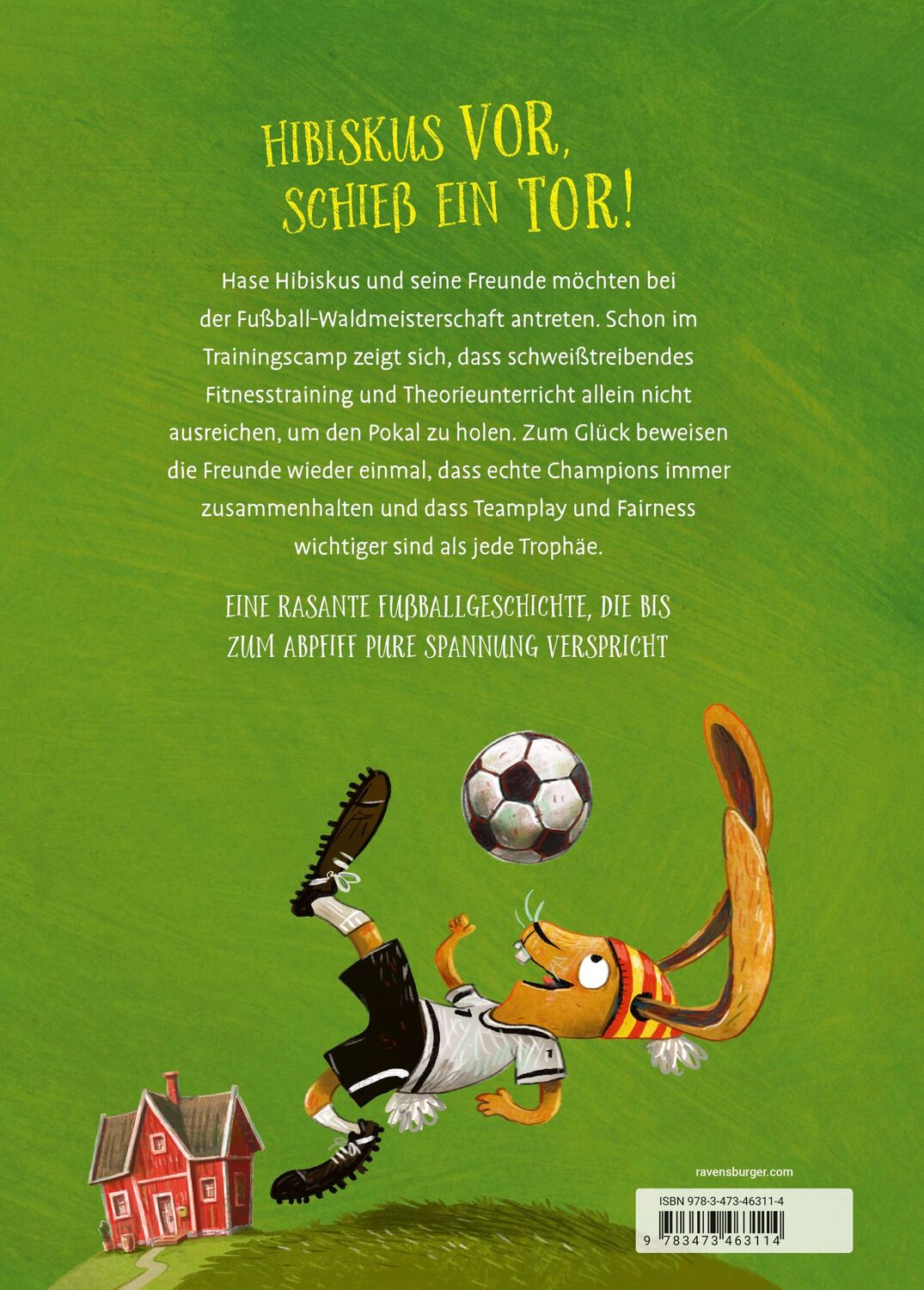 Rückseite: 9783473463114 | Hase Hibiskus und die Fußball-Waldmeisterschaft (Fußball-Buch für...