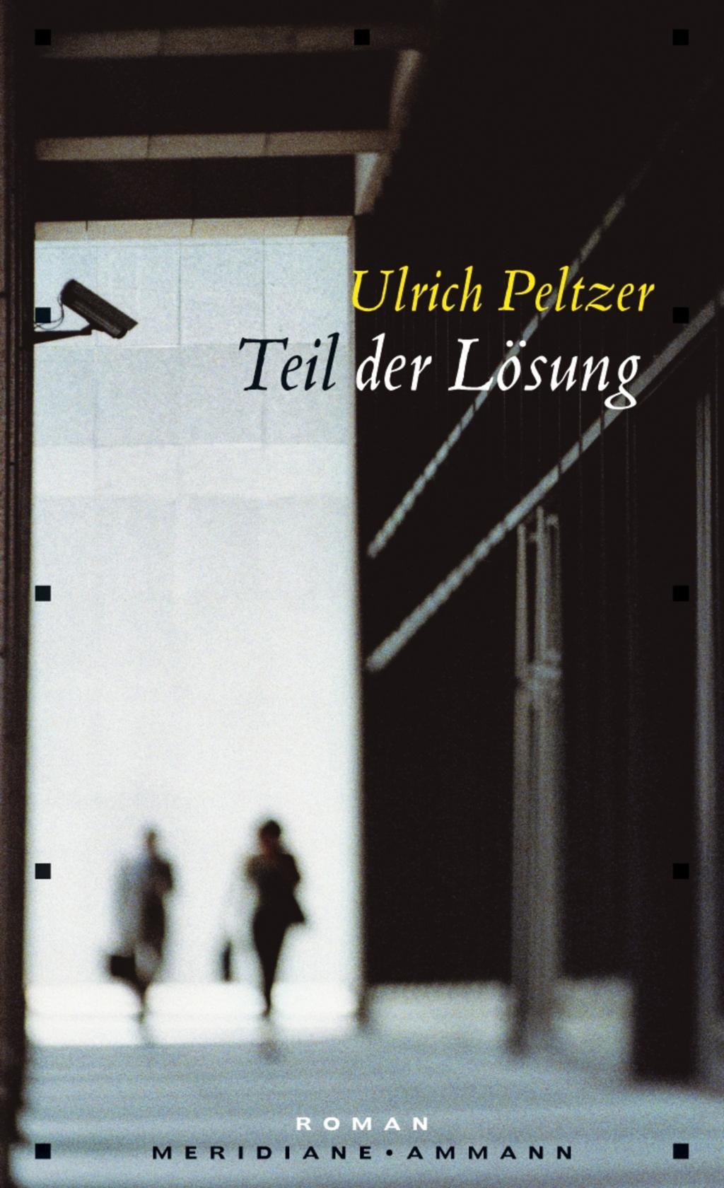 Cover: 9783100608093 | Teil der Lösung | Roman, Meridiane 113 | Ulrich Peltzer | Buch | 2007