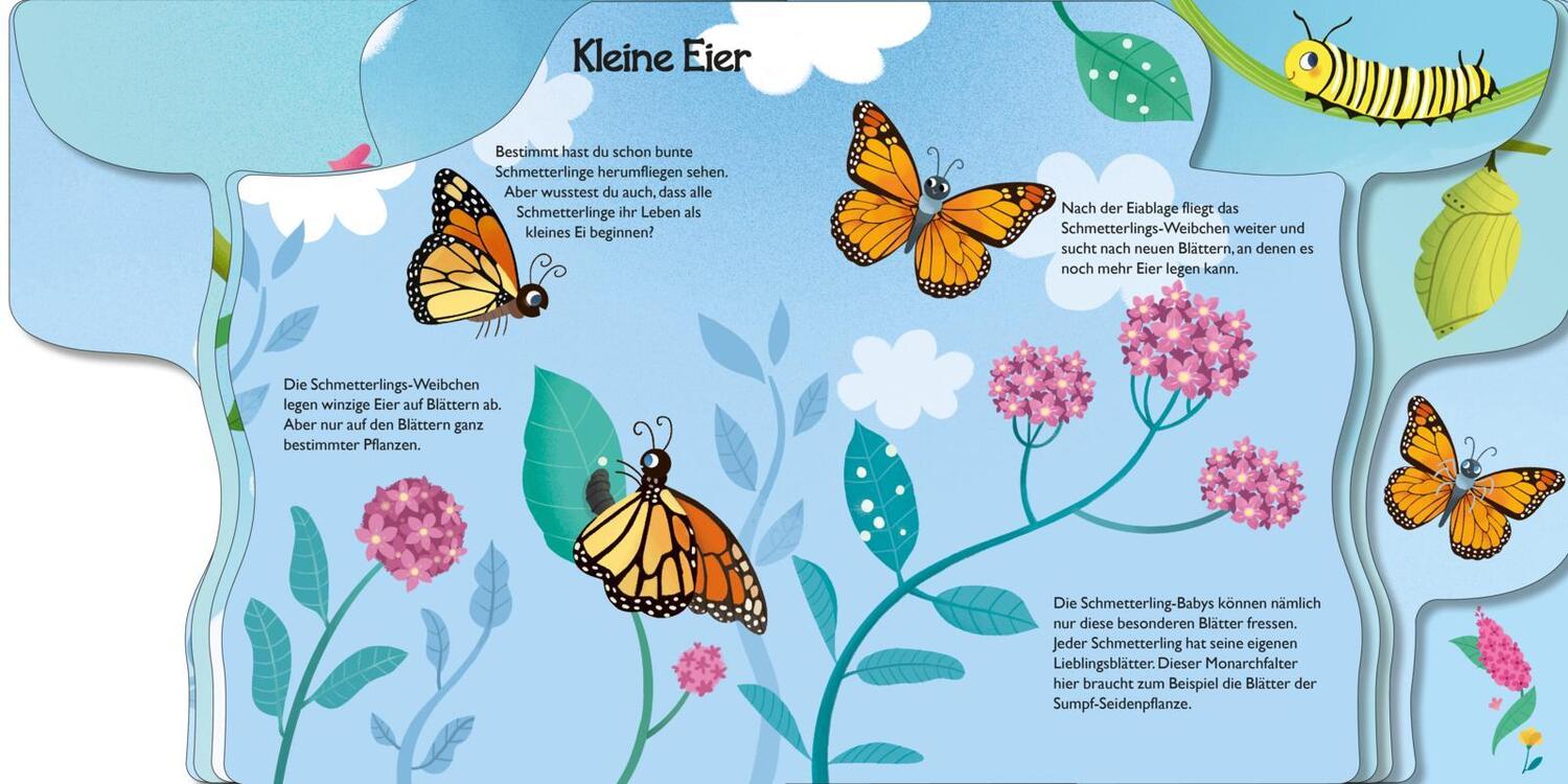 Bild: 9783551172204 | Von der kleinen Raupe zum Schmetterling | Mein erstes Naturwunder-Buch