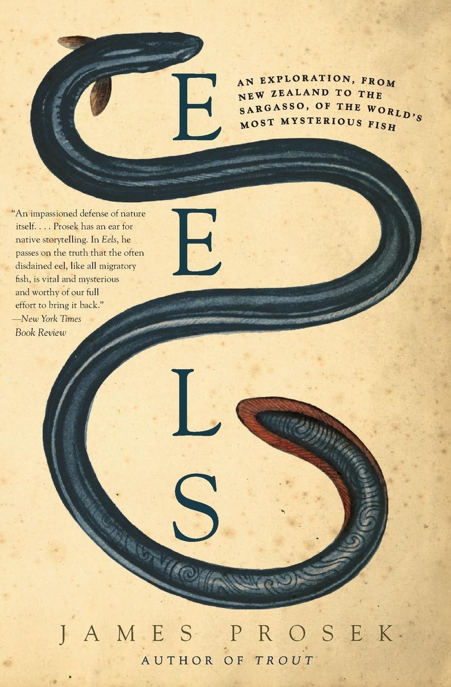 Cover: 9780060566128 | Eels | James Prosek | Taschenbuch | Paperback | Englisch | 2013
