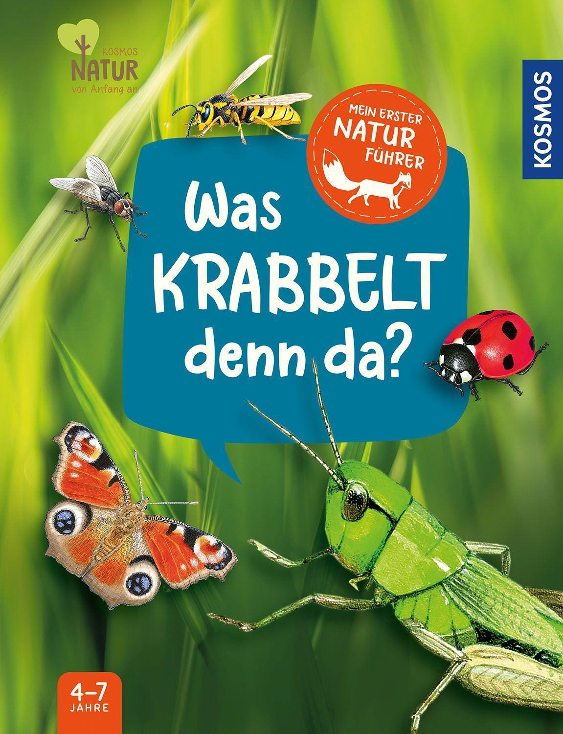 Cover: 9783440175248 | Mein erster Naturführer, Was krabbelt denn da? | Veronika Lang | Buch