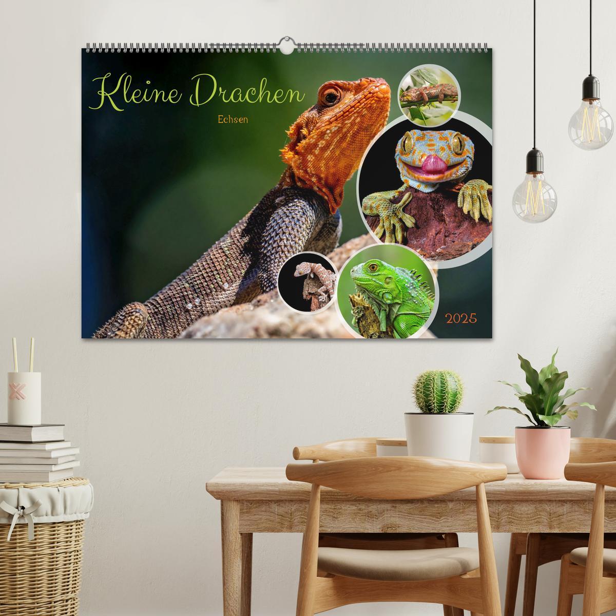 Bild: 9783383884443 | Kleine Drachen - Echsen (Wandkalender 2025 DIN A2 quer), CALVENDO...