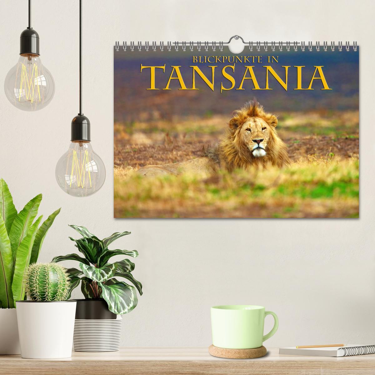 Bild: 9783435354627 | Blickpunkte Tansanias (Wandkalender 2025 DIN A4 quer), CALVENDO...