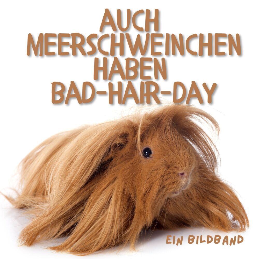 Cover: 9783750505223 | Auch Meerschweinchen haben Bad-Hair-Day | Ein Bildband | Bibi Hübsch
