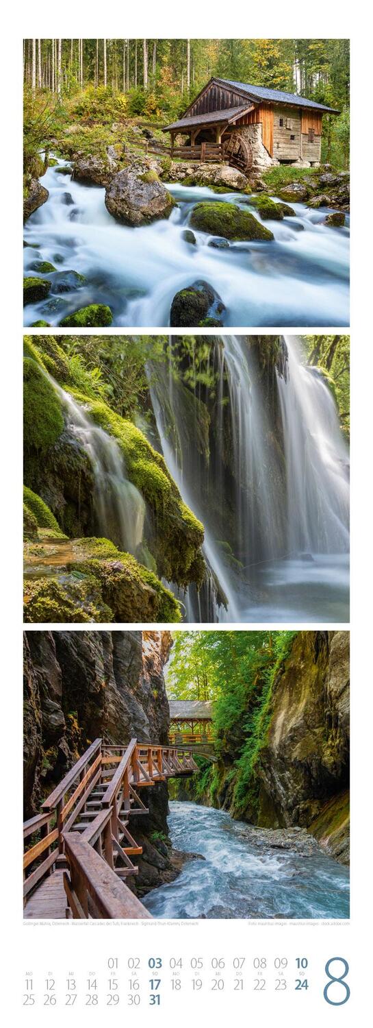 Bild: 9783838425368 | Waldleben - Ein Spaziergang durch heimische Wälder Triplet-Kalender...