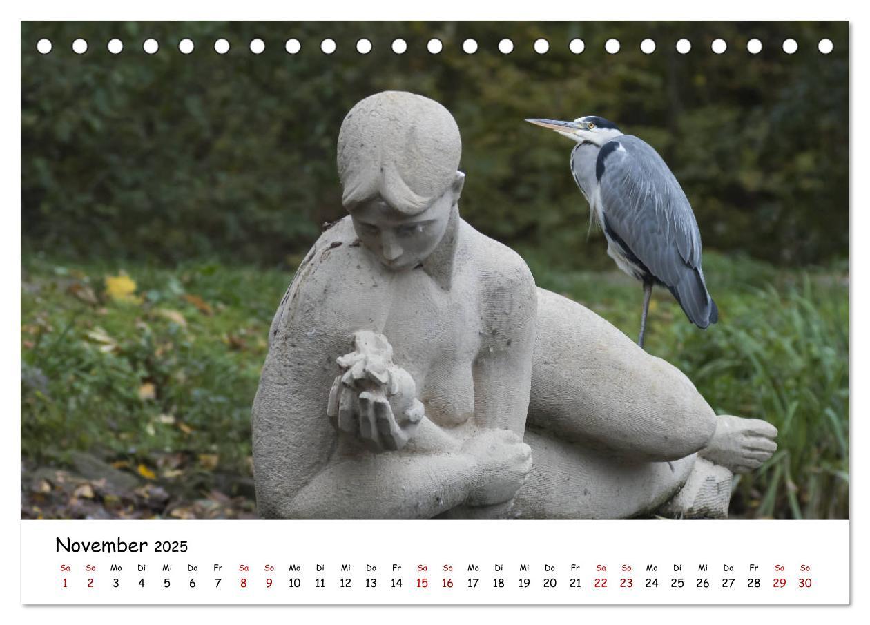 Bild: 9783435175451 | Die Graureiher vom Ahnepark (Tischkalender 2025 DIN A5 quer),...