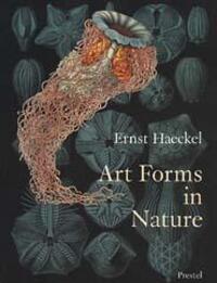 Cover: 9783791319902 | Art Forms in Nature | The Prints of Ernst Haeckel | Olaf Breidbach