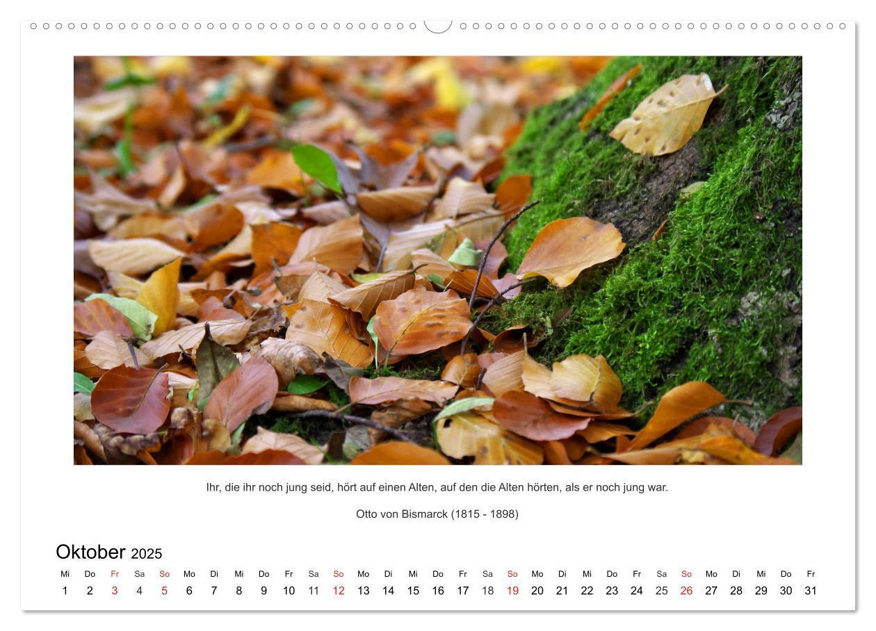 Bild: 9783435672882 | Der Naturkalender mit Zitaten und Sprüchen (Wandkalender 2025 DIN...