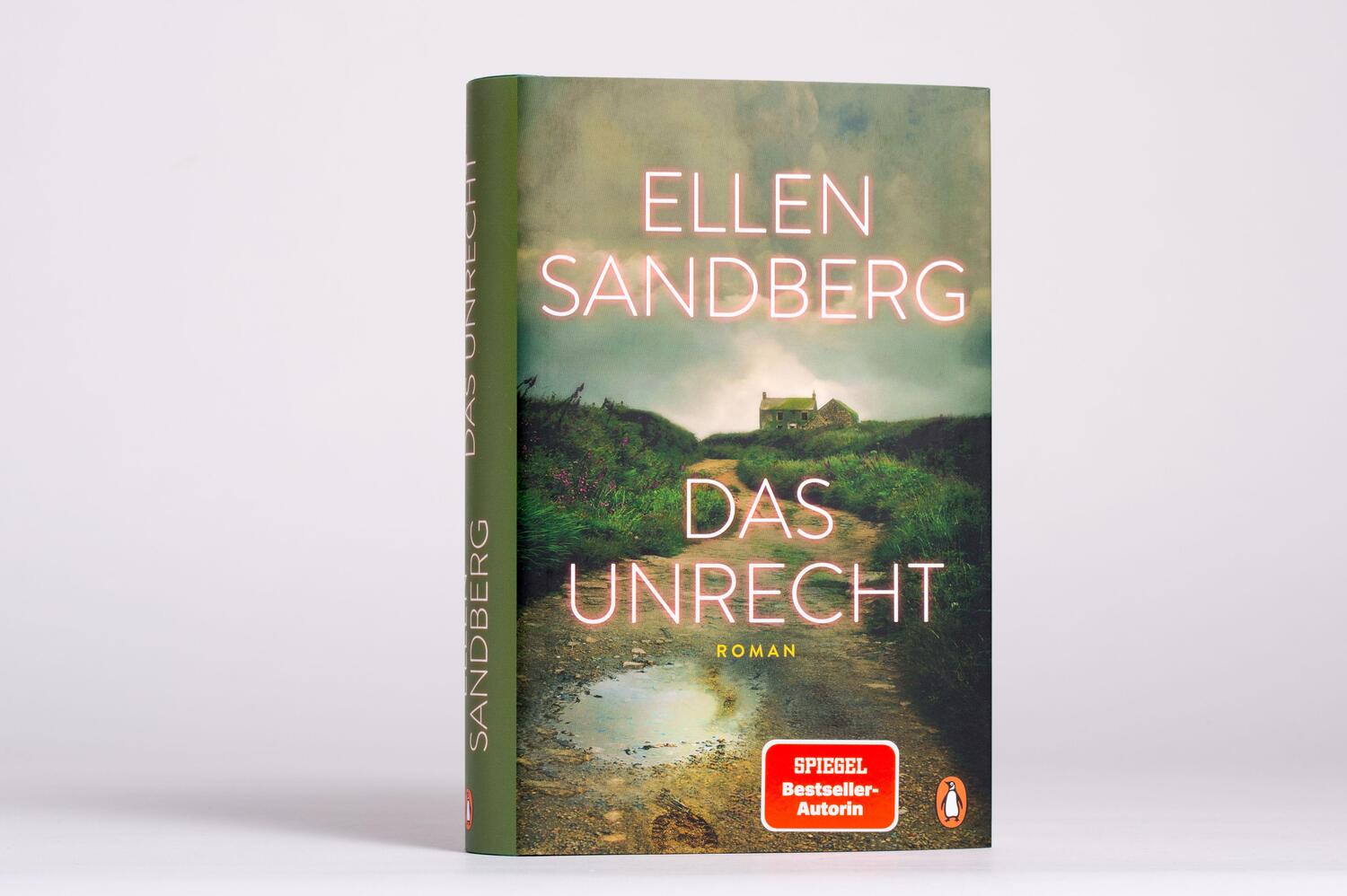 Bild: 9783328602545 | Das Unrecht | Ellen Sandberg | Buch | 416 S. | Deutsch | 2022
