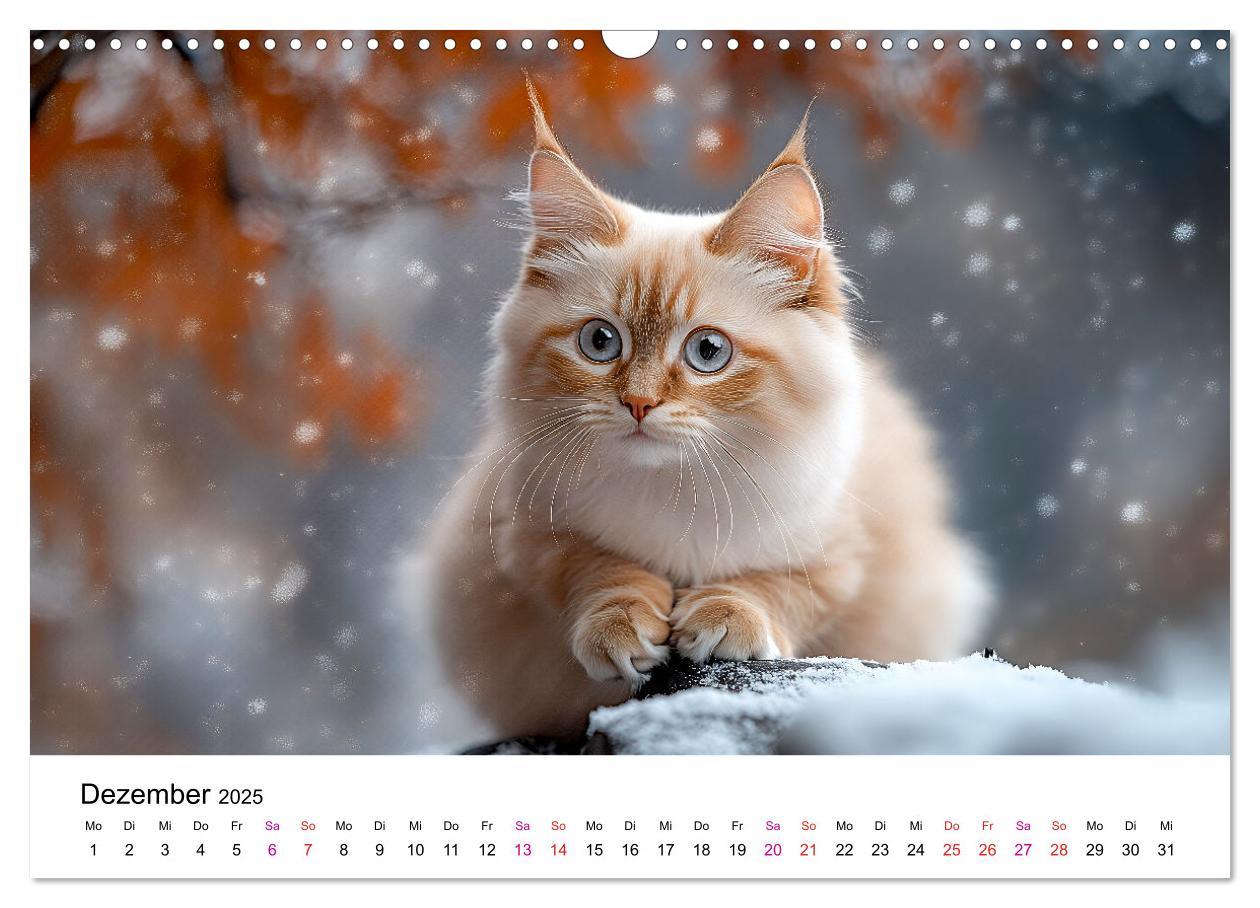 Bild: 9783457218280 | Katzenzauber - Samtpfoten im Jahreslauf (Wandkalender 2025 DIN A3...