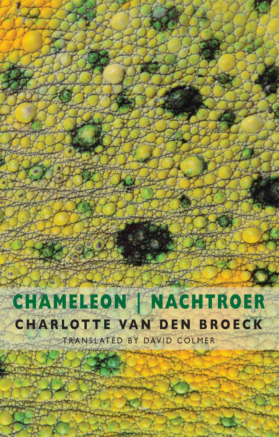 Cover: 9781780374475 | Chameleon / Nachtroer | Charlotte van den Broeck | Taschenbuch | 2020