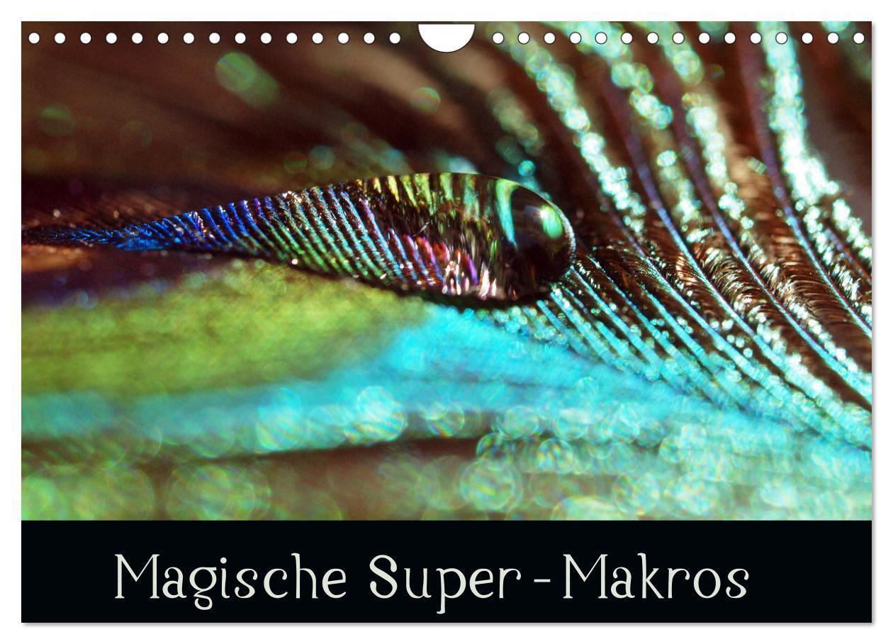 Cover: 9783675719668 | Magische Super-Makros (Wandkalender 2024 DIN A4 quer), CALVENDO...