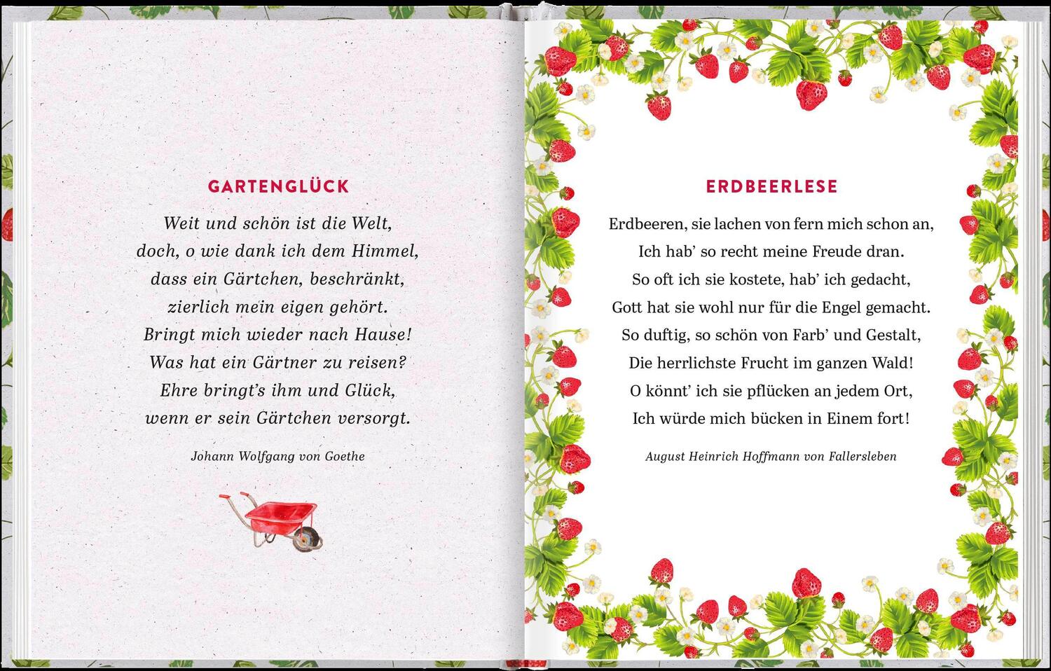 Bild: 9783629008091 | Gartenlust und Erdbeerglück | Die schönsten Sommergedanken | Verlag