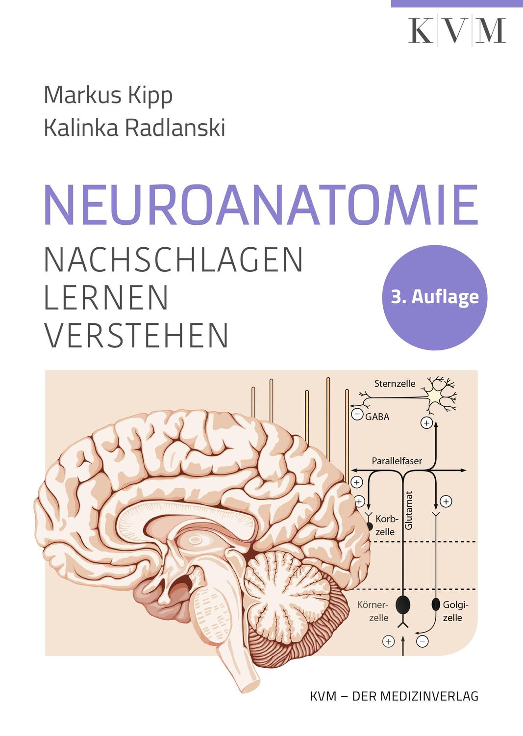 Cover: 9783868675993 | Neuroanatomie | Nachschlagen Lernen Verstehen | Markus Kipp (u. a.)