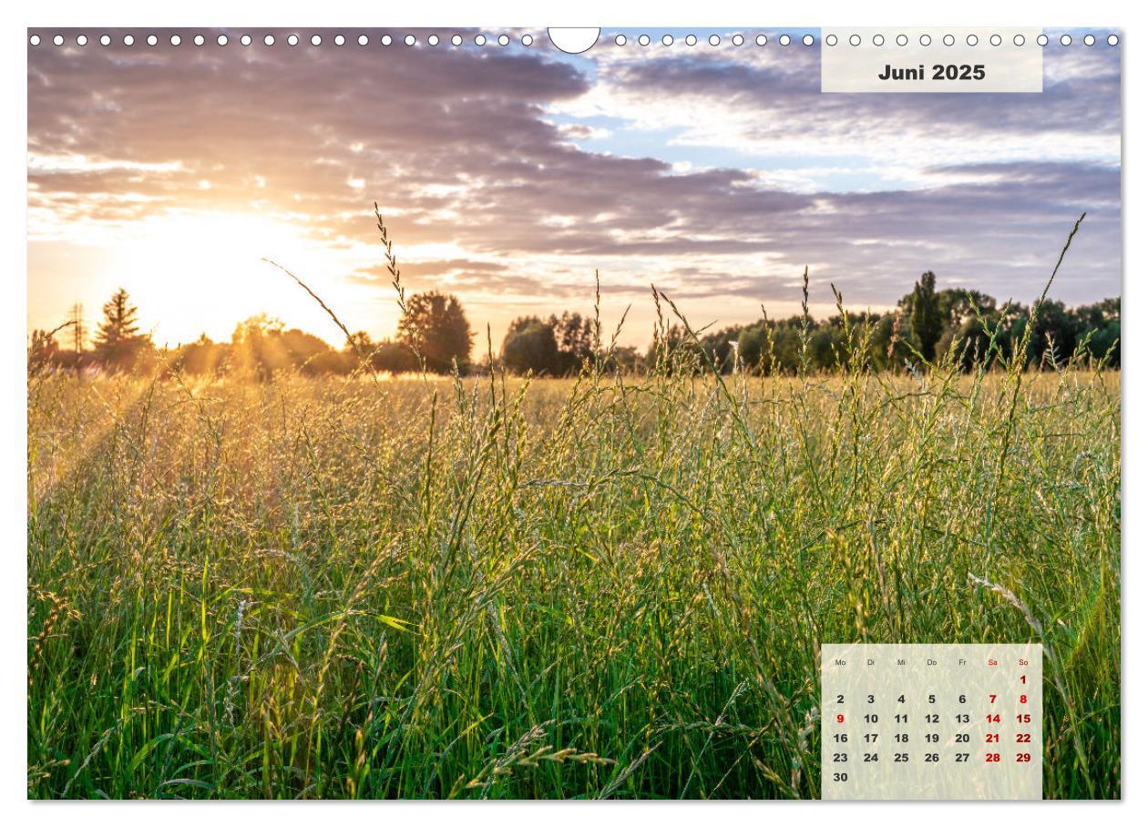 Bild: 9783383922626 | Ein Jahr Niederrhein Wiesen und Wälder (Wandkalender 2025 DIN A3...