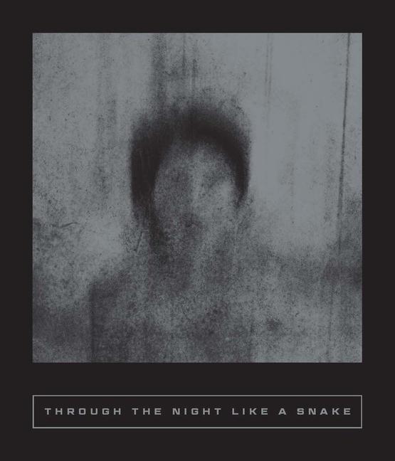 Cover: 9781949641578 | Through the Night Like a Snake | Latin American Horror Stories | Buch