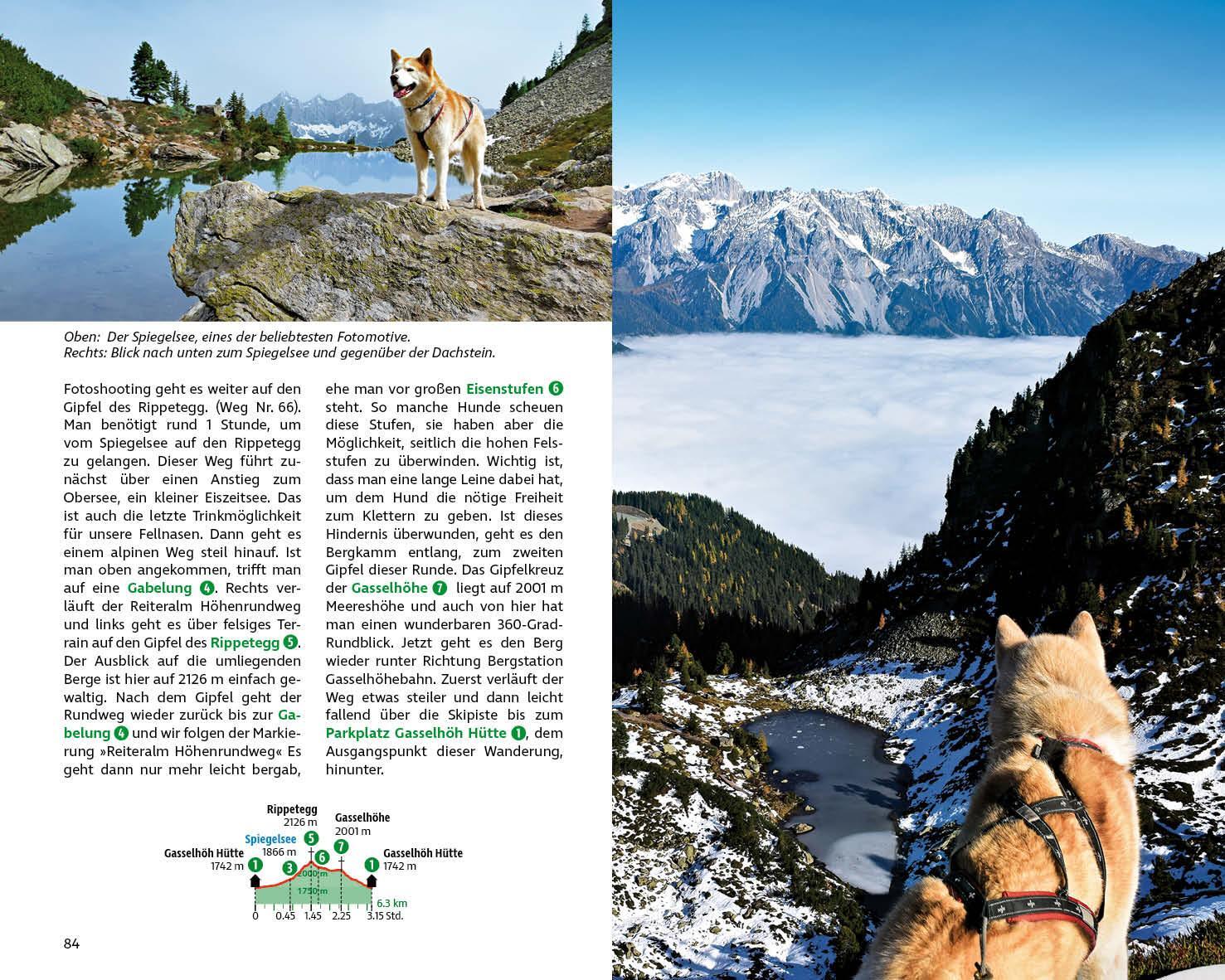 Bild: 9783763333103 | Wandern mit Hund Steiermark | René Apfelknab | Taschenbuch | 192 S.