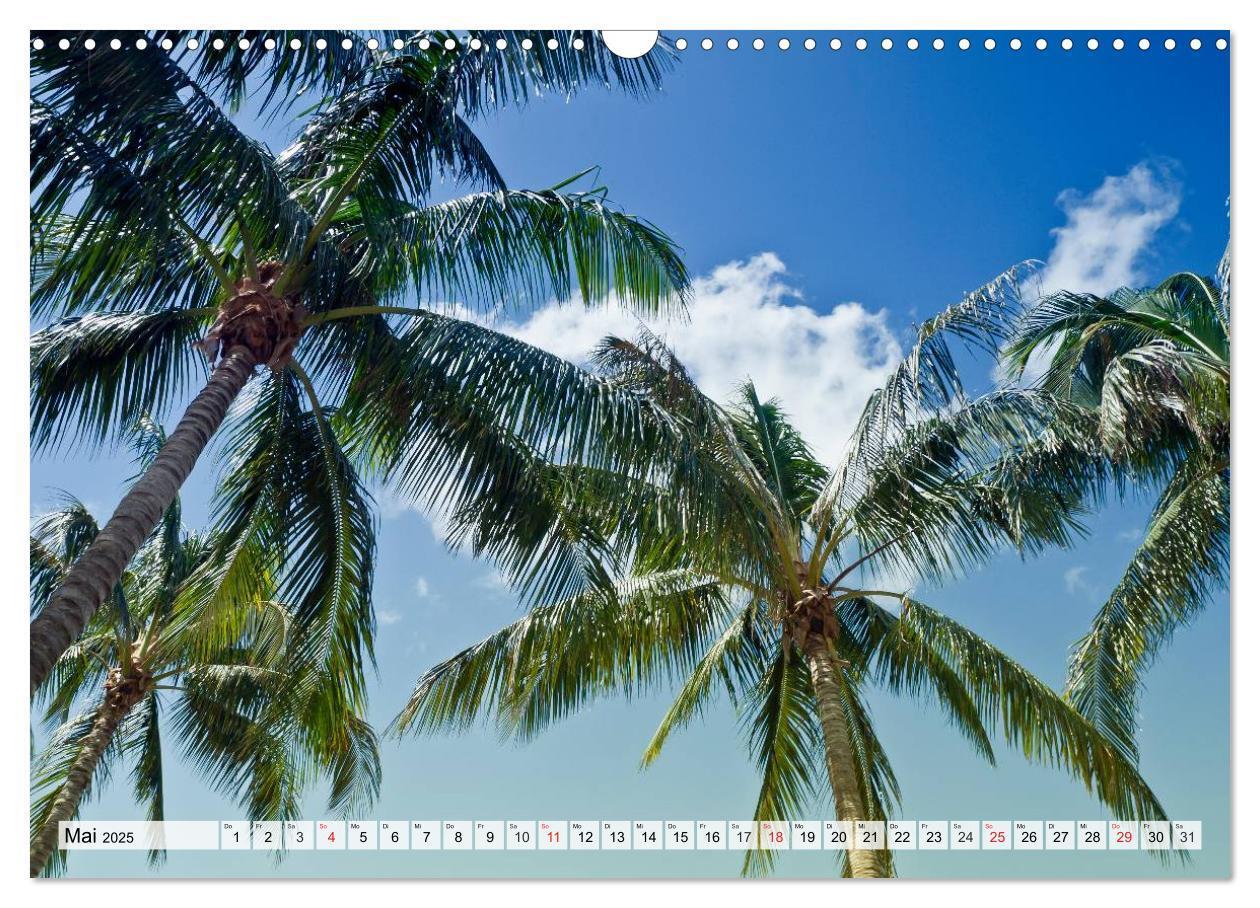 Bild: 9783435805419 | FLORIDA Paradiesischer Sonnenscheinstaat (Wandkalender 2025 DIN A3...