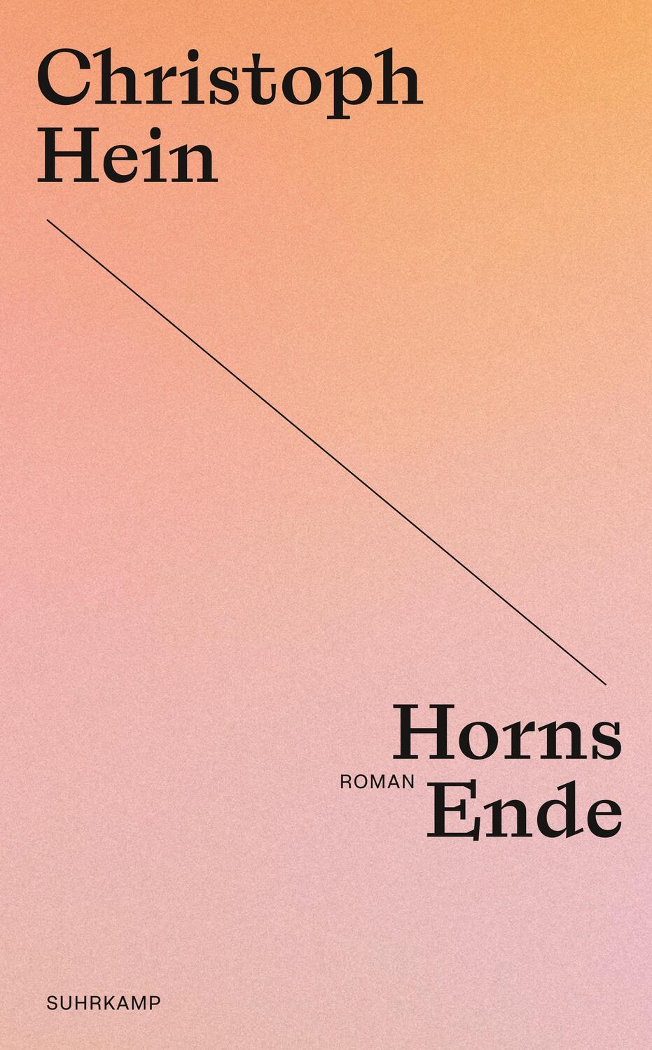 Cover: 9783518473948 | Horns Ende | Christoph Hein | Taschenbuch | 261 S. | Deutsch | 2024