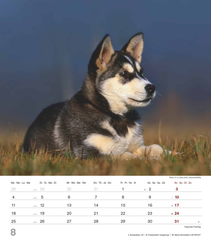 Bild: 4251732344405 | Alpha Edition - Niedliche Hundekinder 2025 Bildkalender, 30x40cm,...