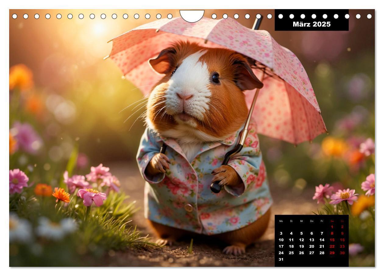 Bild: 9783435011865 | Meerschweinchen mal anders! (Wandkalender 2025 DIN A4 quer),...