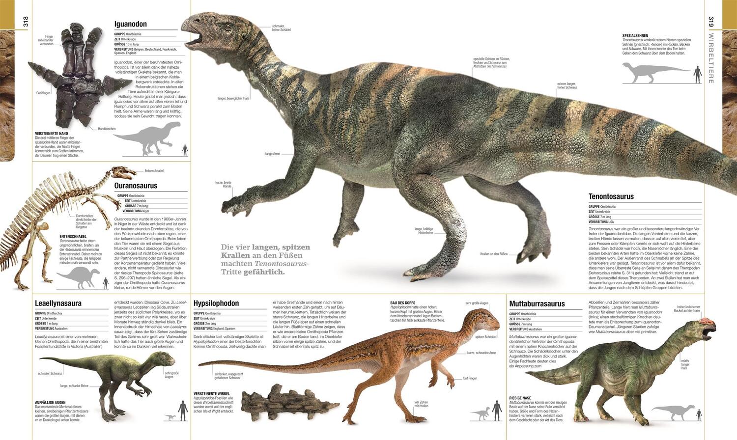 Bild: 9783831040308 | Dinosaurier und andere Lebewesen der Urzeit | Buch | 440 S. | Deutsch