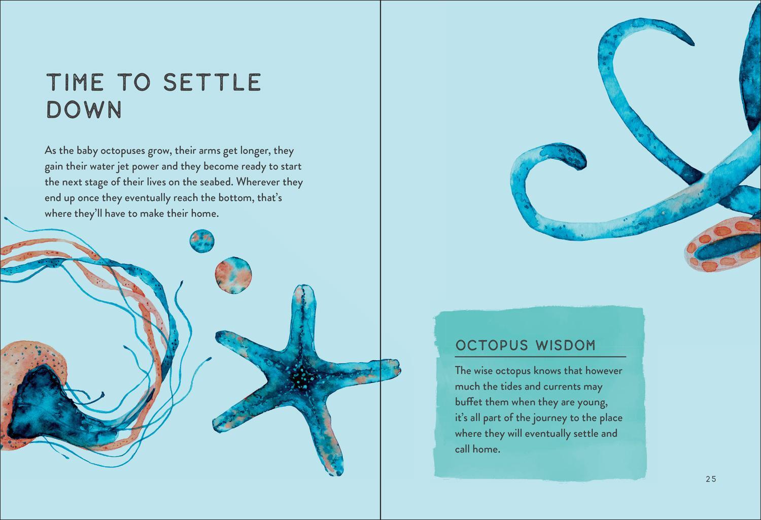 Bild: 9780008517878 | Weird Is Beautiful | The Wisdom of Octopuses | Liz Marvin | Buch