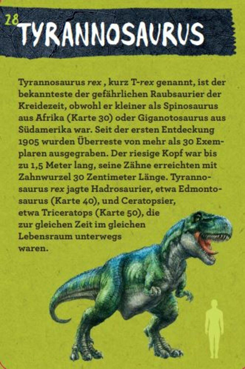 Bild: 9783649644286 | 50 Dinosaurier | Barbara Wernsing | Stück | Nature Zoom | Deutsch