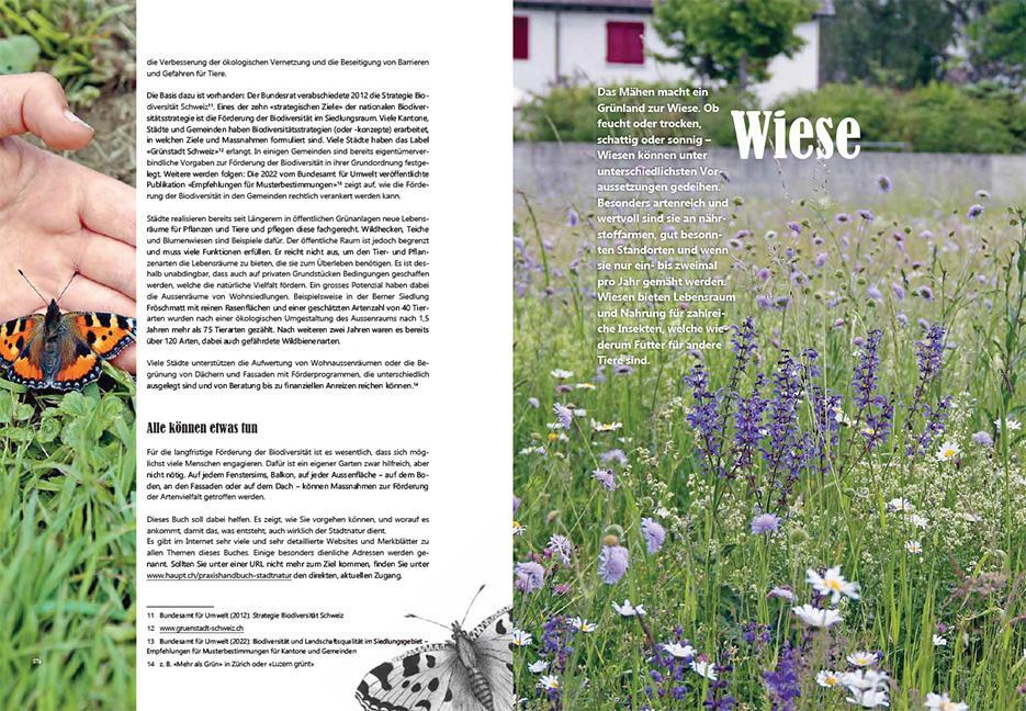 Bild: 9783258083285 | Praxishandbuch Stadtnatur | Sabine Tschäppeler (u. a.) | Taschenbuch