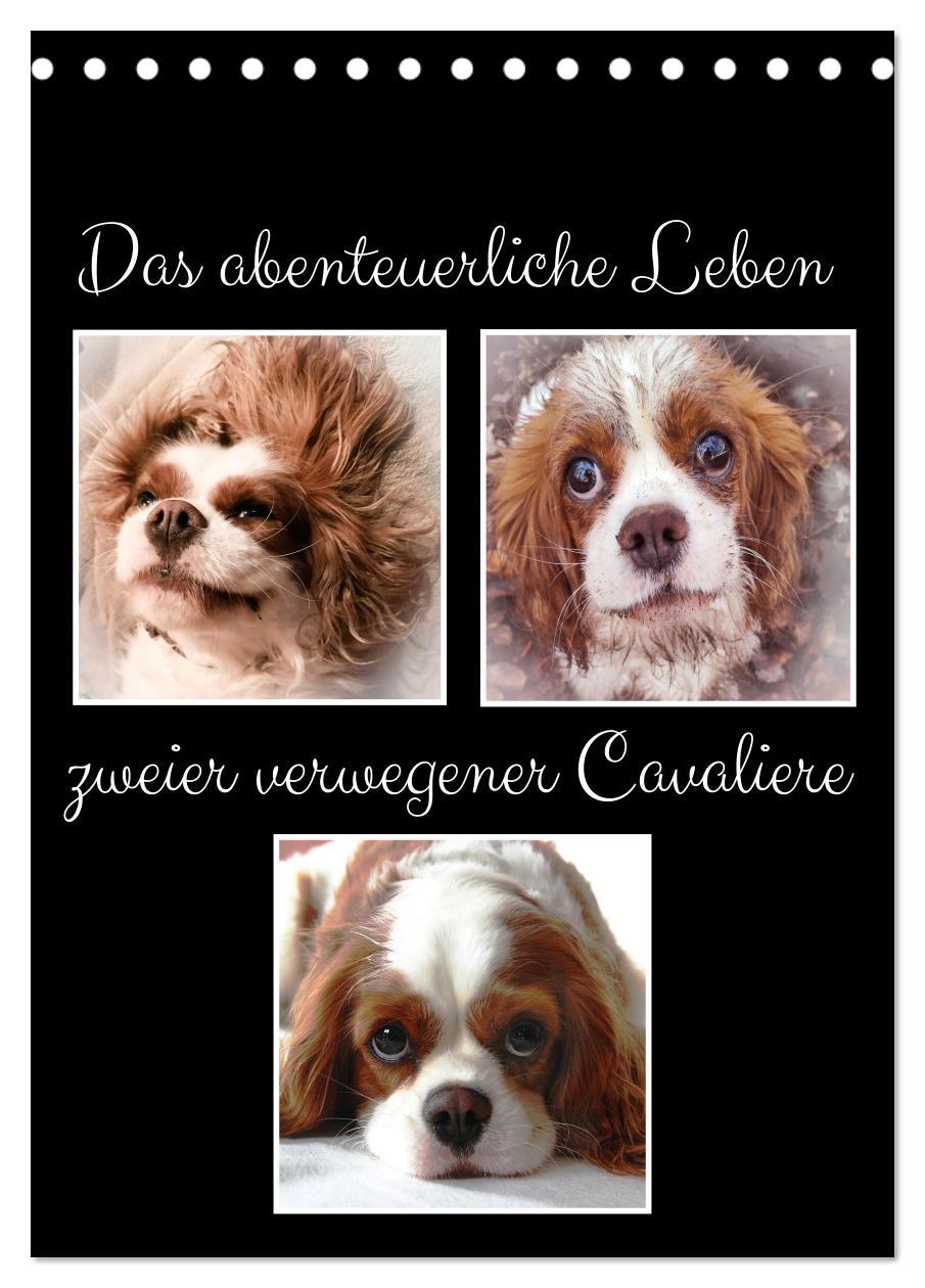 Cover: 9783435894048 | Das abenteuerliche Leben zweier verwegener Cavaliere (Tischkalender...