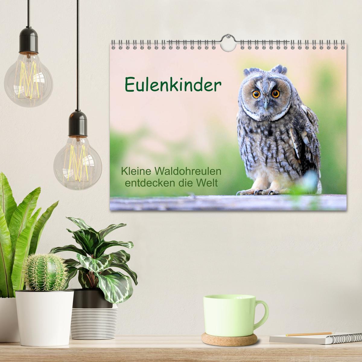 Bild: 9783435110957 | Eulenkinder - Kleine Waldohreulen entdecken die Welt (Wandkalender...