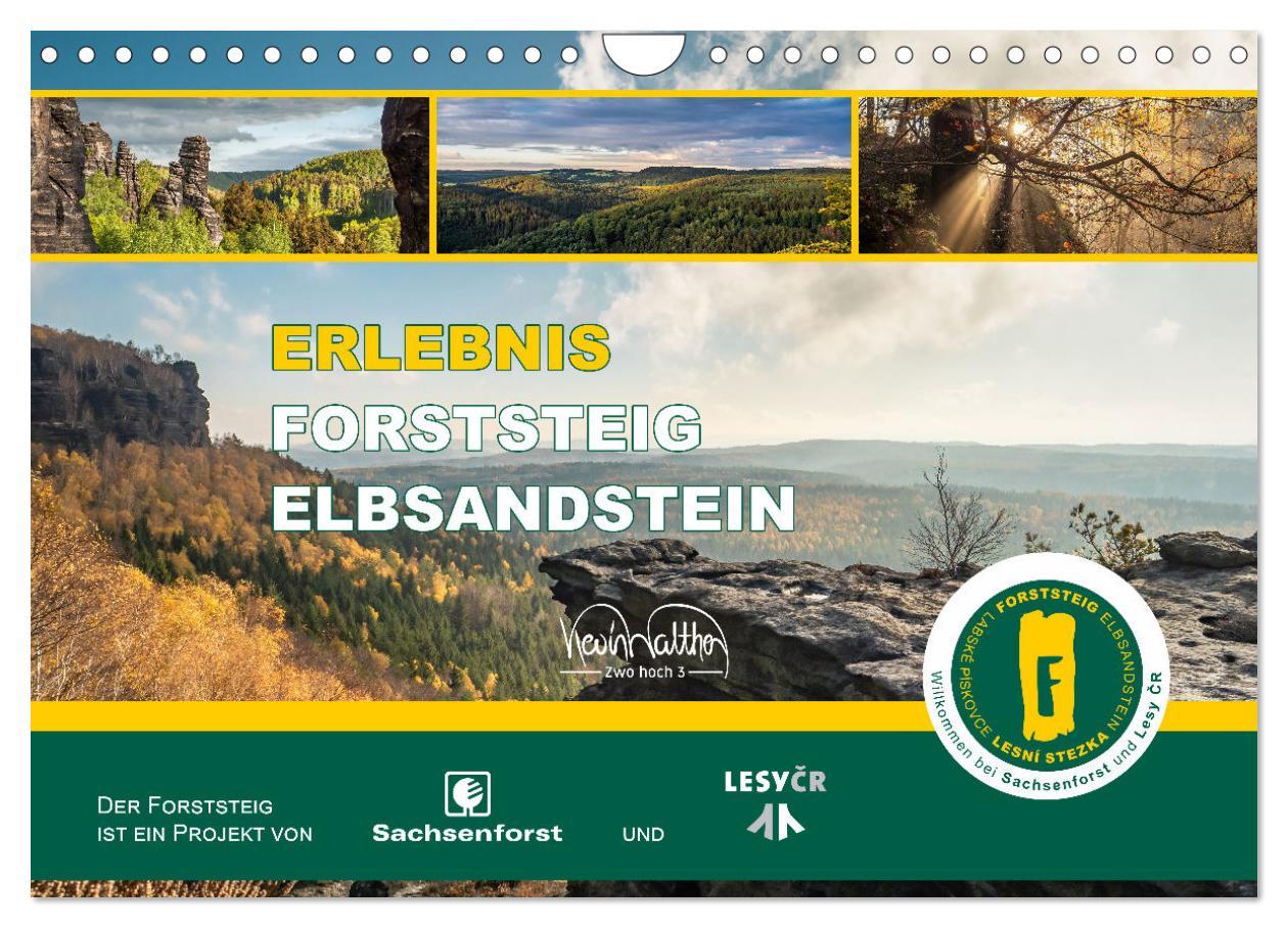 Cover: 9783383919145 | Erlebnis Forststeig Elbsandstein (Wandkalender 2025 DIN A4 quer),...