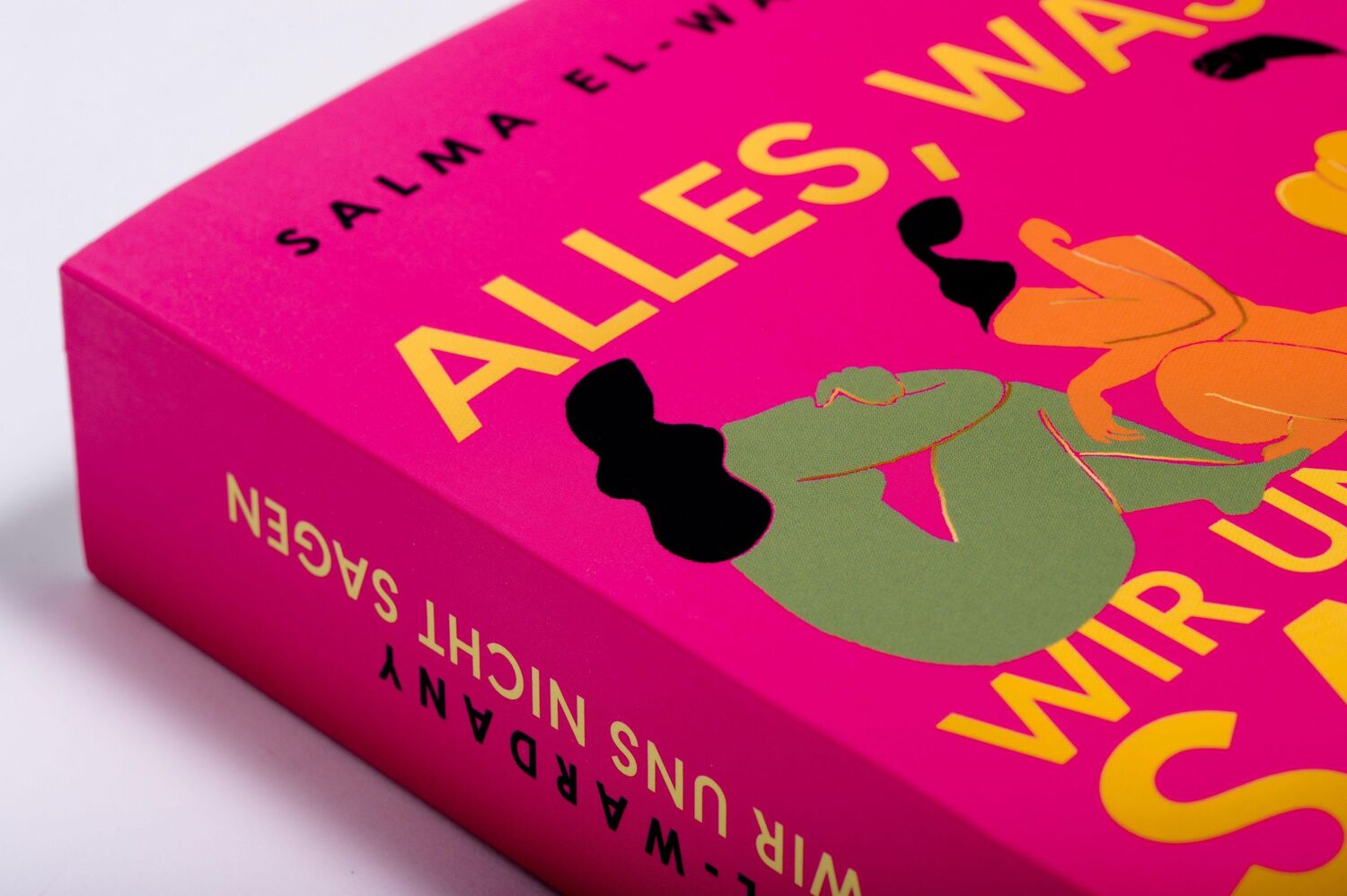 Bild: 9783328602866 | Alles, was wir uns nicht sagen | Salma El-Wardany | Taschenbuch | 2023