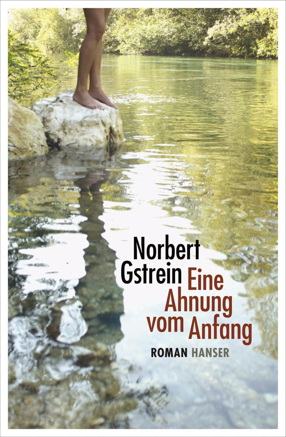 Cover: 9783446243347 | Eine Ahnung vom Anfang | Roman | Norbert Gstrein | Buch | 352 S.