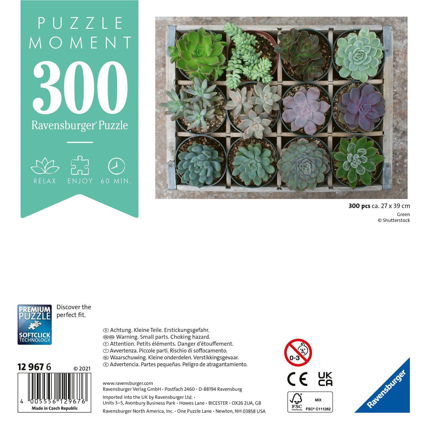 Bild: 4005556129676 | Ravensburger Puzzle Moment 12967 Green - 300 Teile Puzzle für...