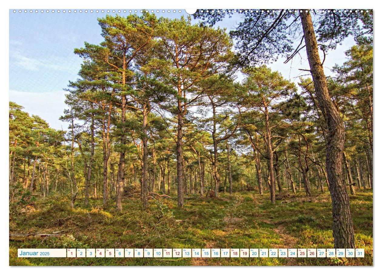 Bild: 9783435428250 | Cuxhaven, Landschaften zwischen Küste und Heide (Wandkalender 2025...