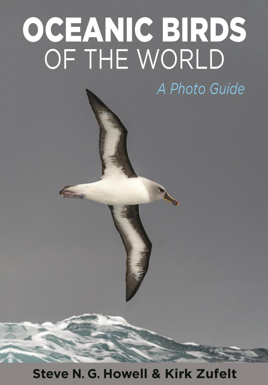 Cover: 9780691175010 | Oceanic Birds of the World | A Photo Guide | Howell (u. a.) | Buch